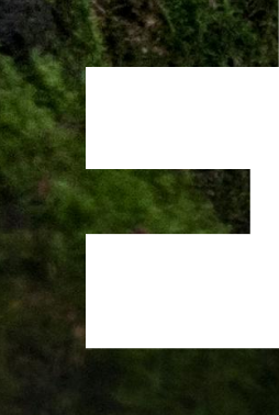 e2_img_07.png